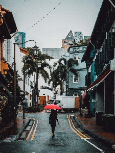 Pedestrian road street town Photo