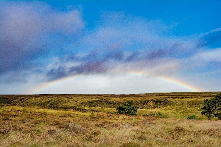 Landschaft natur gras horizont Foto