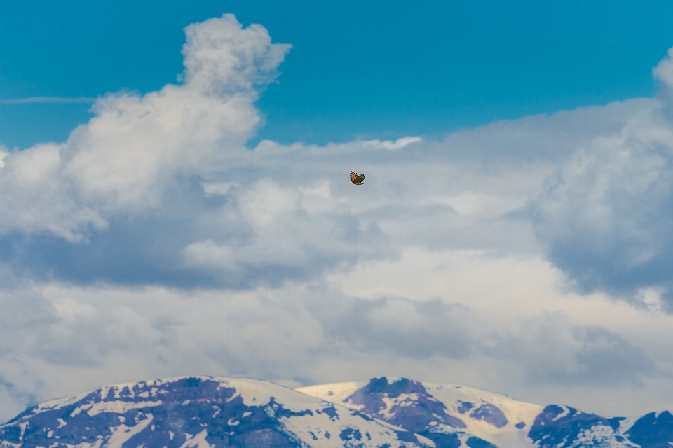 Montaña nieve nube cielo