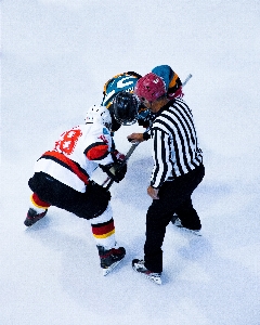 Player ice hockey sports Photo