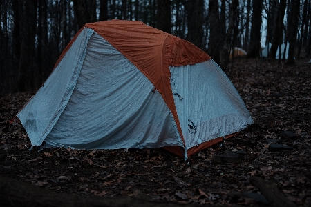 Wing blue tent Photo