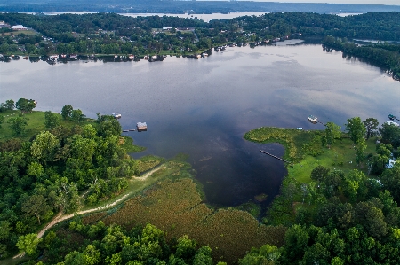 Landscape coast forest lake Photo