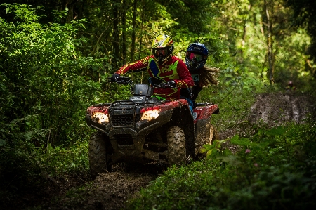 Forest trail adventure vehicle Photo