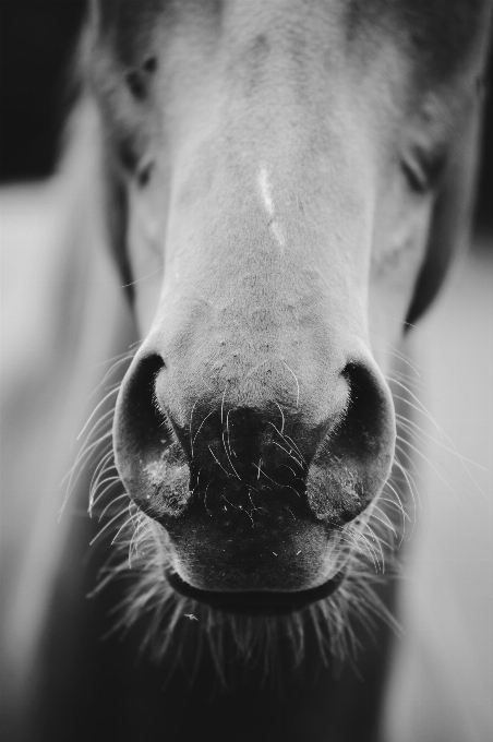 Hand schwarz und weiß
 weiss fotografie