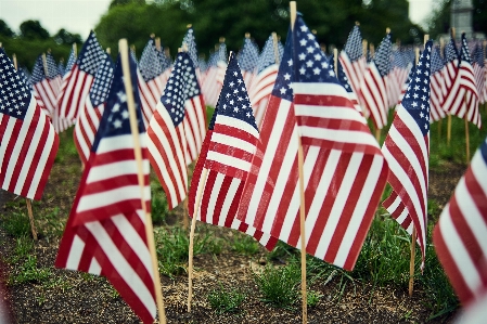 Flag christmas of the united states Photo