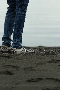 海 砂 青 材料 写真