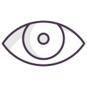 Eye Icon