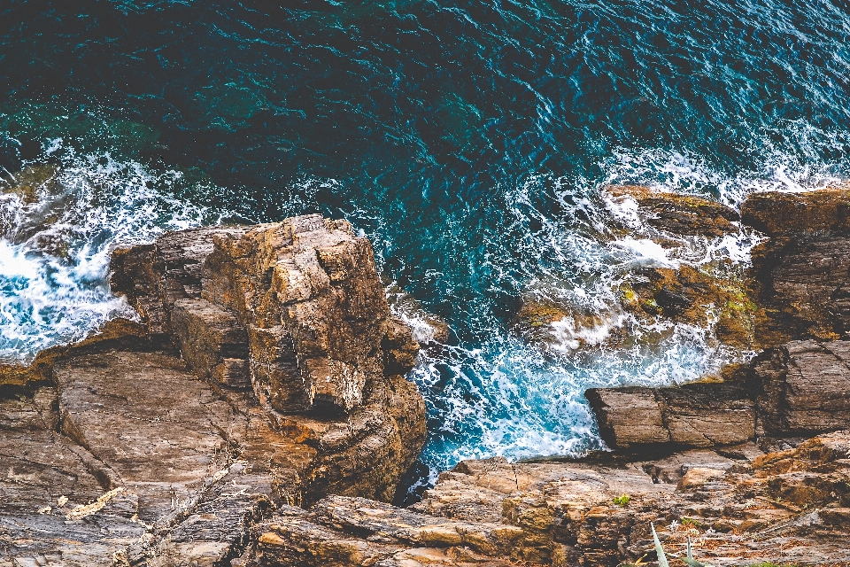 Mer côte arbre eau