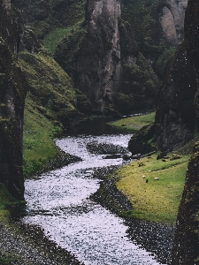 Foto Paisaje árbol agua naturaleza