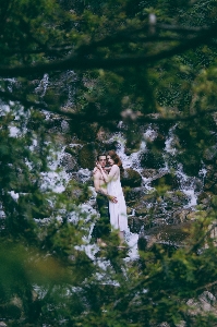 木 山 花 山脈
 写真