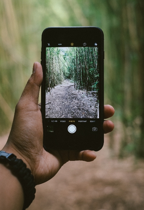 Smartphone mano verde aggeggio