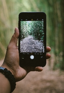 Foto Smartphone tangan hijau gawai