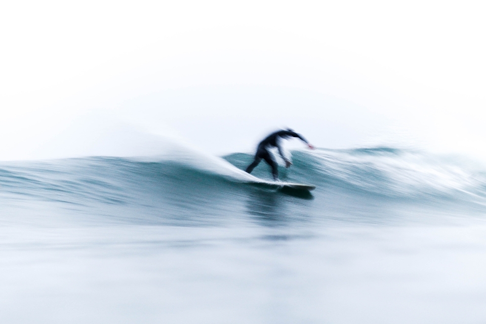 Bird wave surfing surfboard