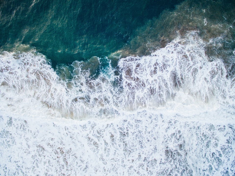 海 海岸 海洋 波