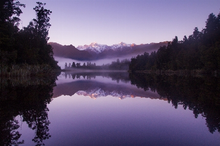 風景 木 水 自然 写真