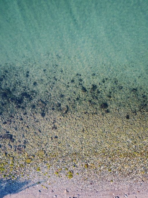 海 水 自然 砂