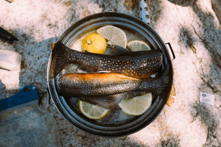 Fish food seafood trout Photo