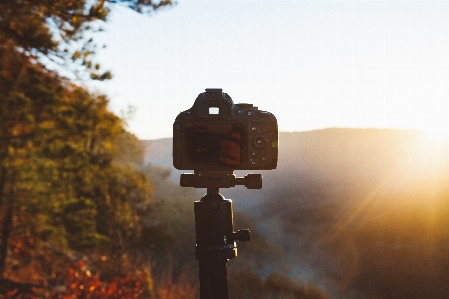 Foto Luz solar manhã reflexão