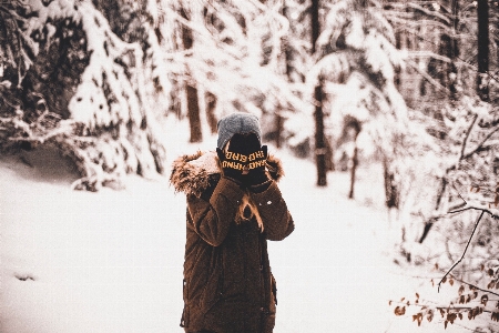 Foto árbol bosque nieve invierno