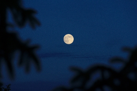 Light cloud sky night Photo