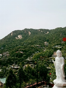 Hill flower town monument Photo