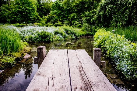 Zdjęcie Krajobraz natura las światło