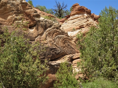 树 rock 荒野 山 照片