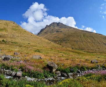 Landscape nature grass outdoor Photo