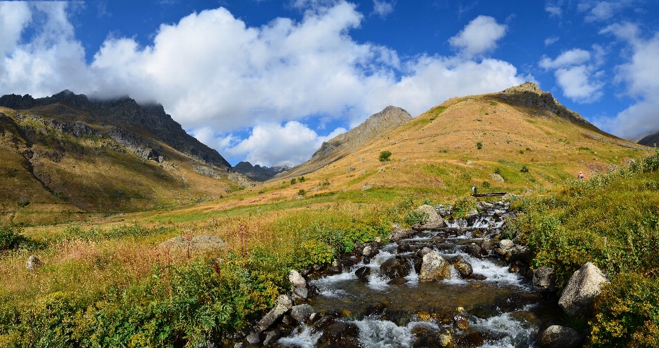 Krajobraz natura trawa na wolnym powietrzu