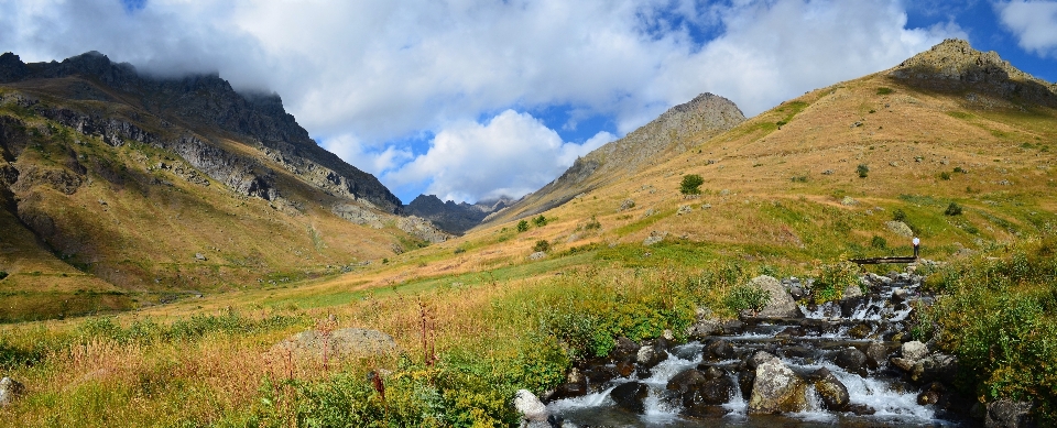 Landscape nature grass outdoor