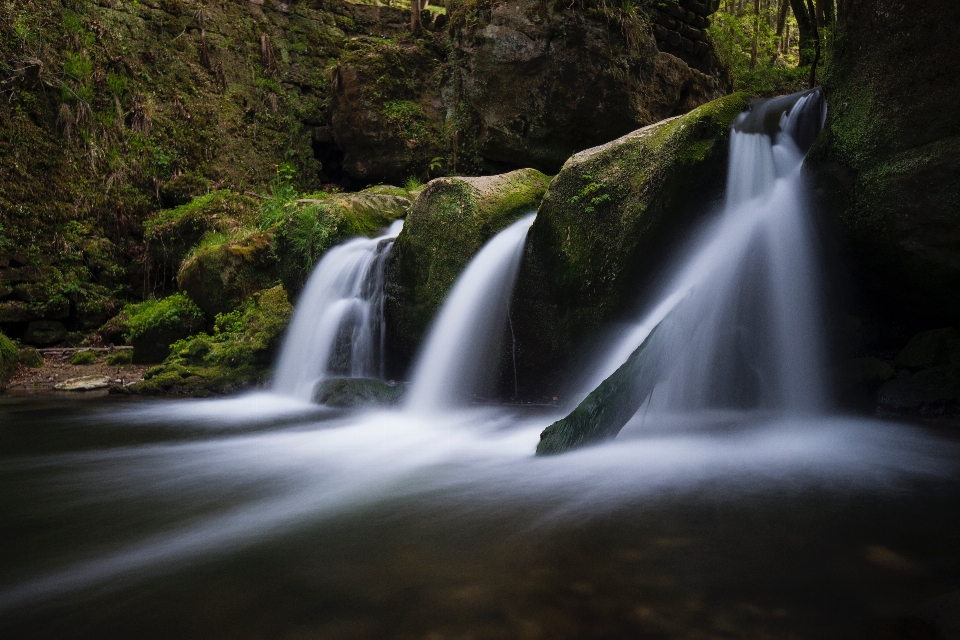 Paesaggio acqua natura foresta