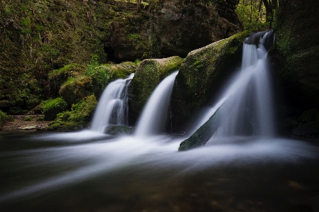 Foto Paisagem água natureza floresta