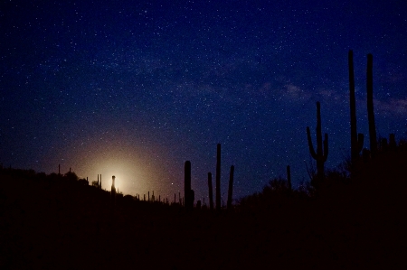 Horizont silhouette himmel nacht Foto