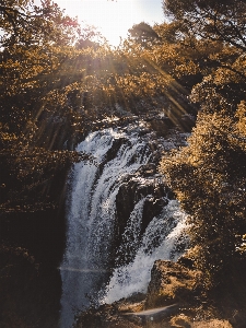 Landscape tree water nature Photo