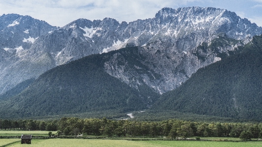 Foto Paisagem natureza floresta região selvagem
