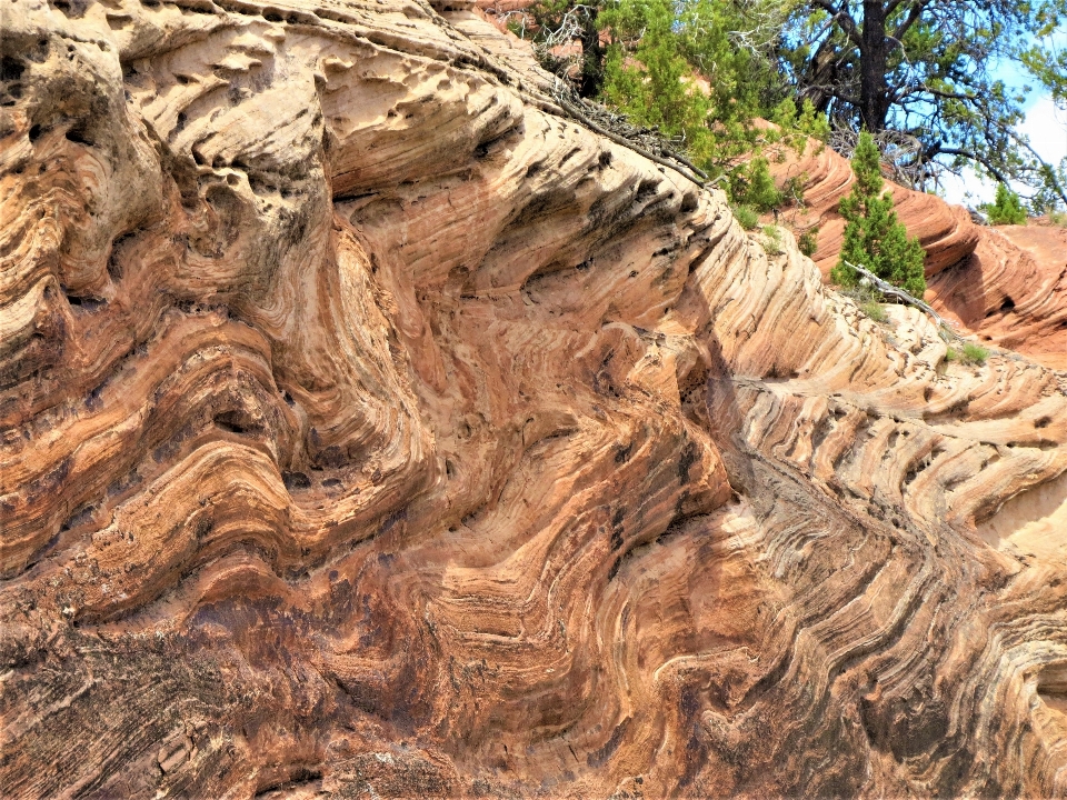 Baum rock wandern
 formation