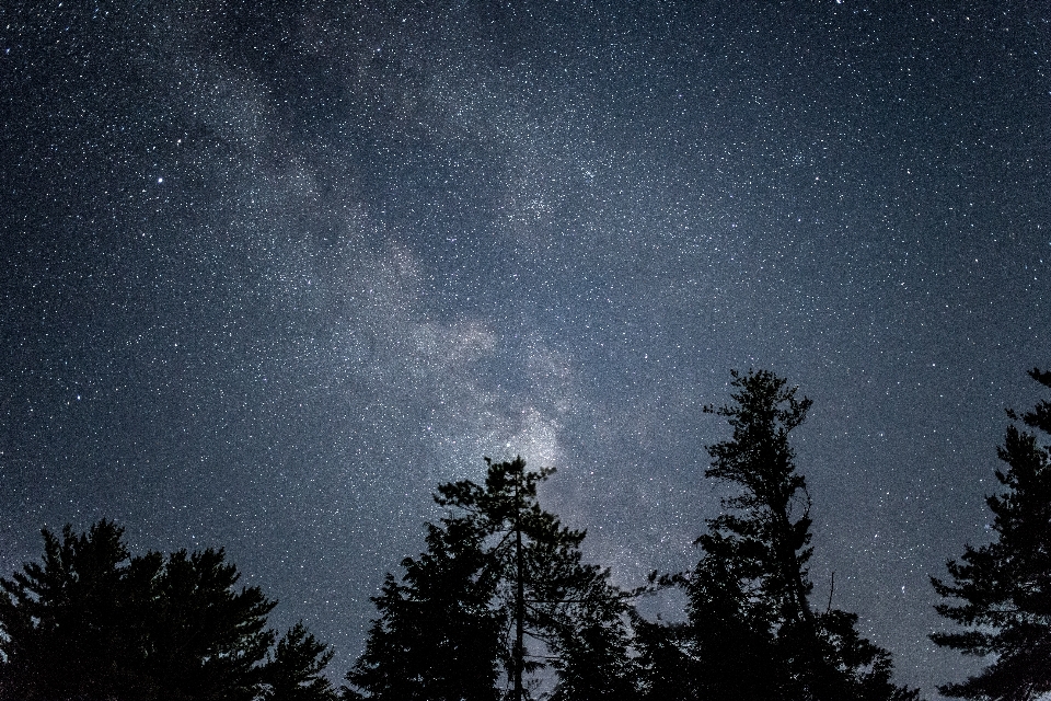 Céu noite estrela via láctea
