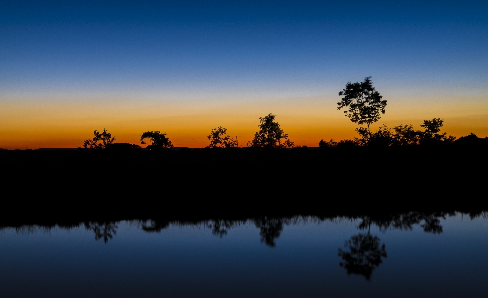 Arbre eau nature horizon