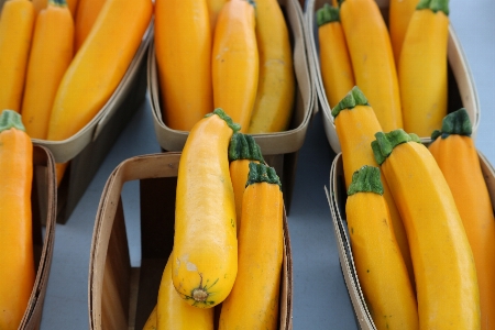 Nature plant farm fruit Photo