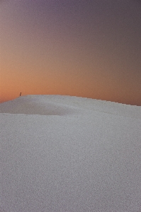 風景 海 砂 地平線 写真