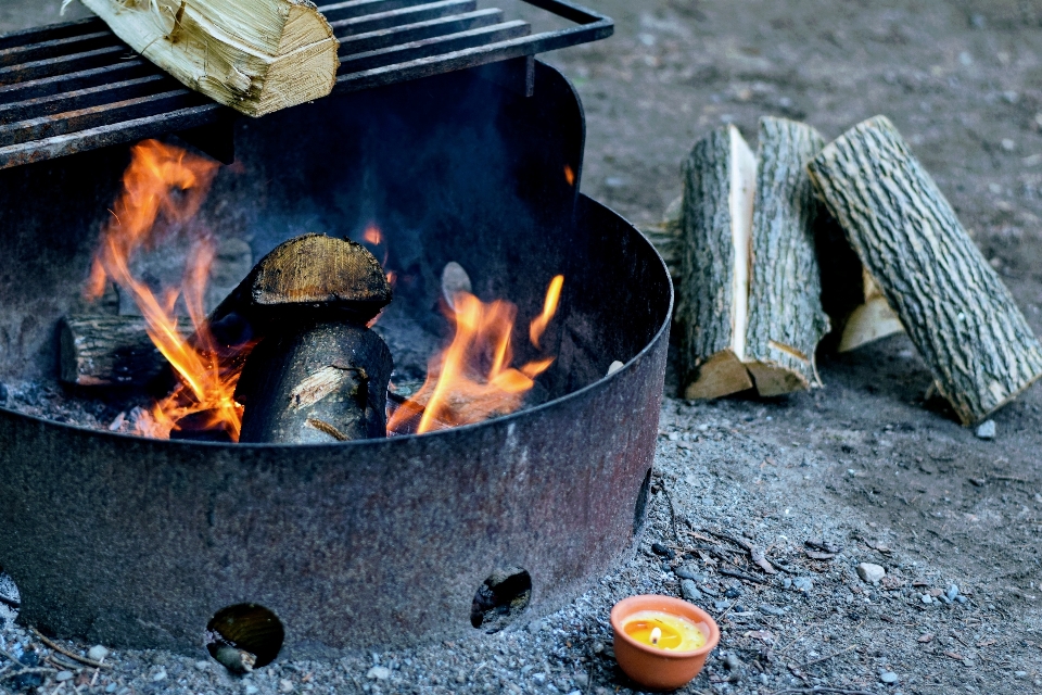 Holz essen lagerfeuer fleisch