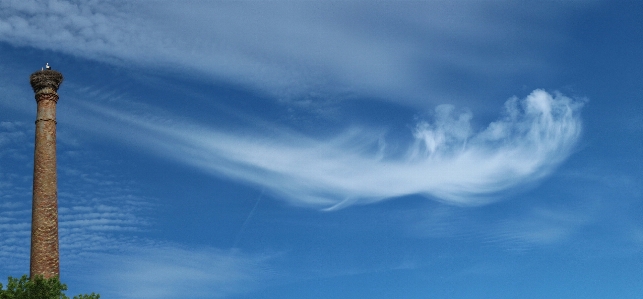 Horizon cloud sky sunlight Photo