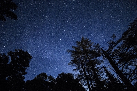 Sky night star atmosphere Photo