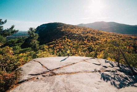 風景 木 自然 rock 写真