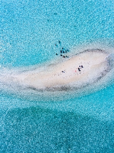 Sea water sand ocean Photo