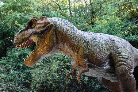 Fauna sculpture fear dinosaur Photo