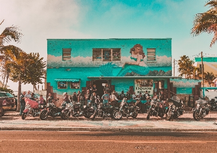 Person palm tree bike advertising Photo