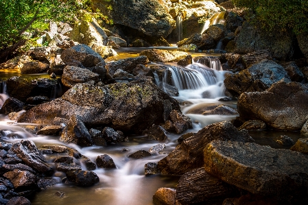 風景 木 水 自然 写真