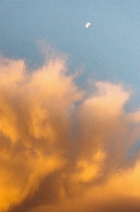 海 地平線 クラウド 空 写真