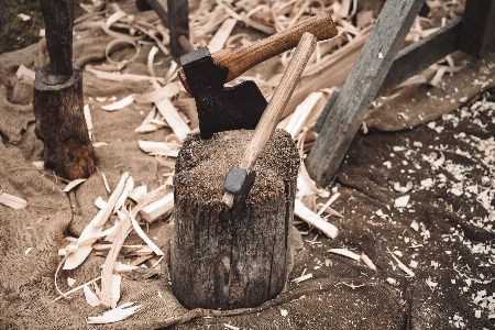 Foto Madera a la deriva
 árbol rama